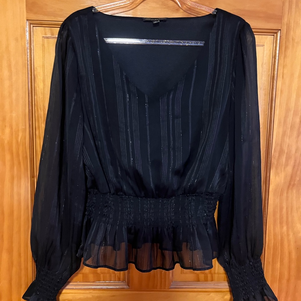 Elegant Black Sheer Blouse